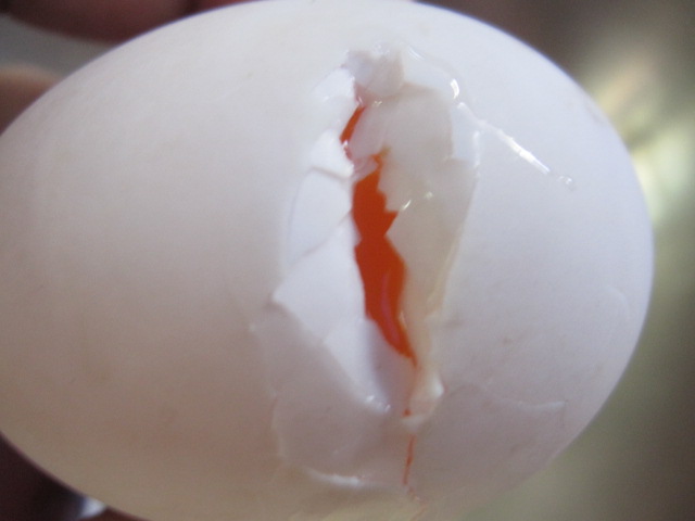 how-to-make-twin-egg-s (2)
