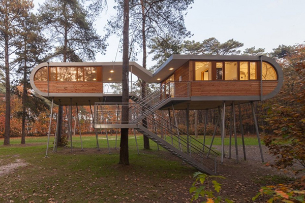 Amazing-Looking-Tree-House