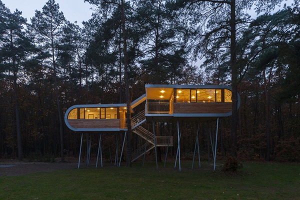 Tree-House-by-Night
