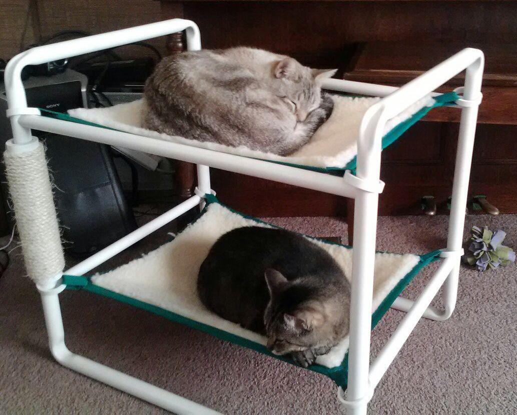 cat bunk beds (1)