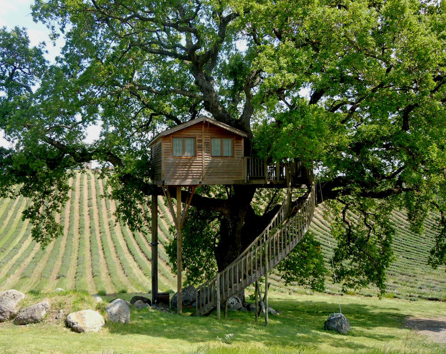 small treehouse wooden cottage (2)