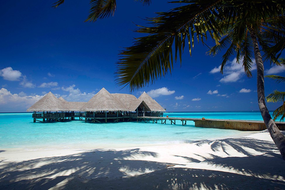 Gili Lankanfush resort maldives (8)