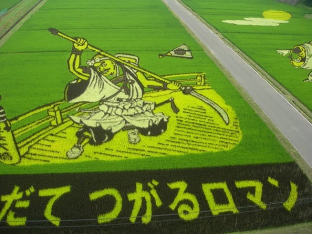 japan art rice field farm (2)