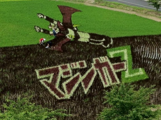 japan art rice field farm (4)