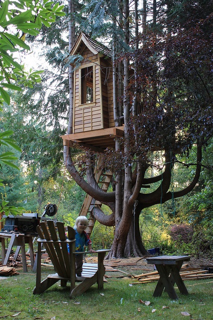 treehouse (3)