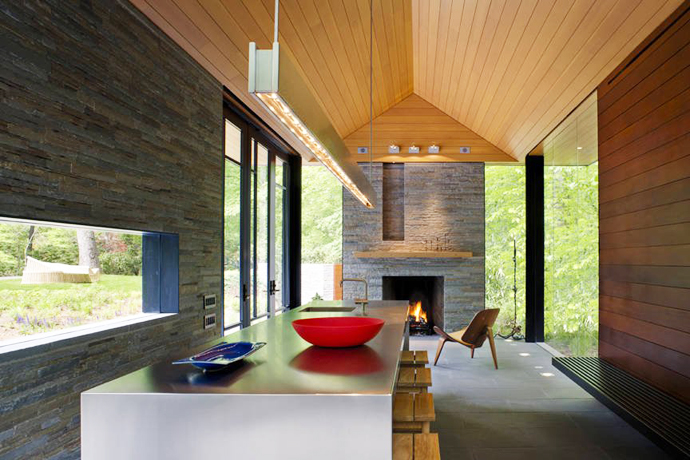 mini modern cottage house in forest usa (9)
