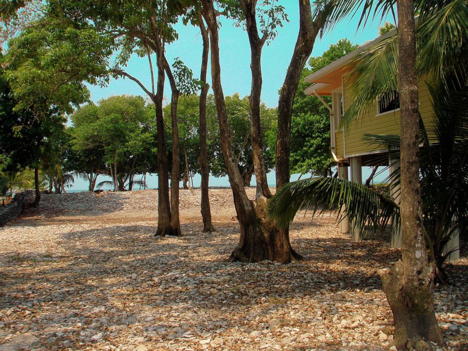beach house in caribean perfect living (4)