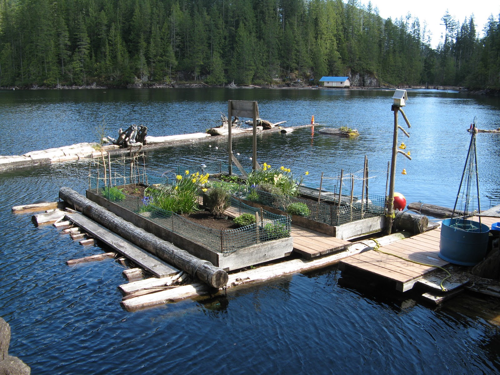 floating house cottage cabin in canada (6)