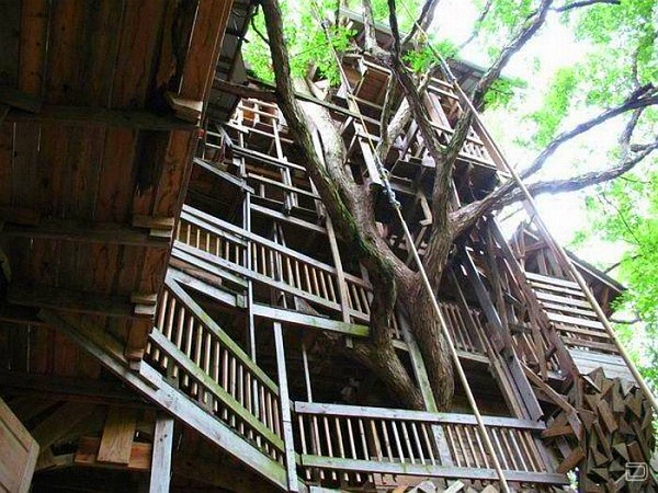 world largest treehouse in tennessee usa (2)
