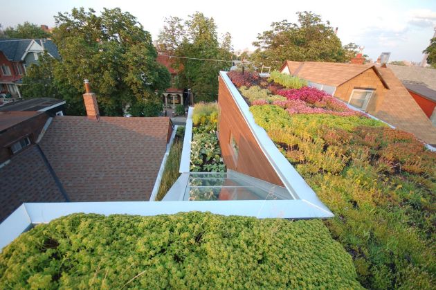Euclid-Avenue-House-Green-Roof