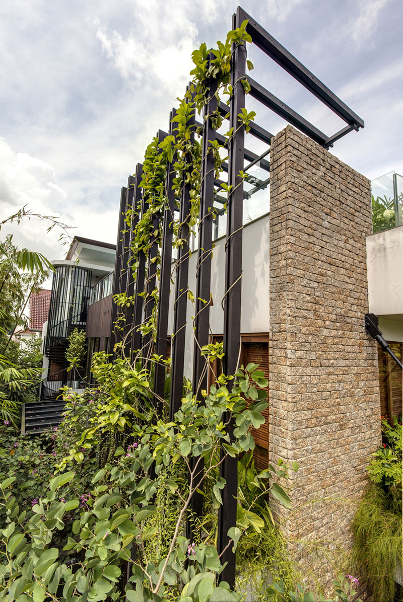 singapore townhome with natural (3)