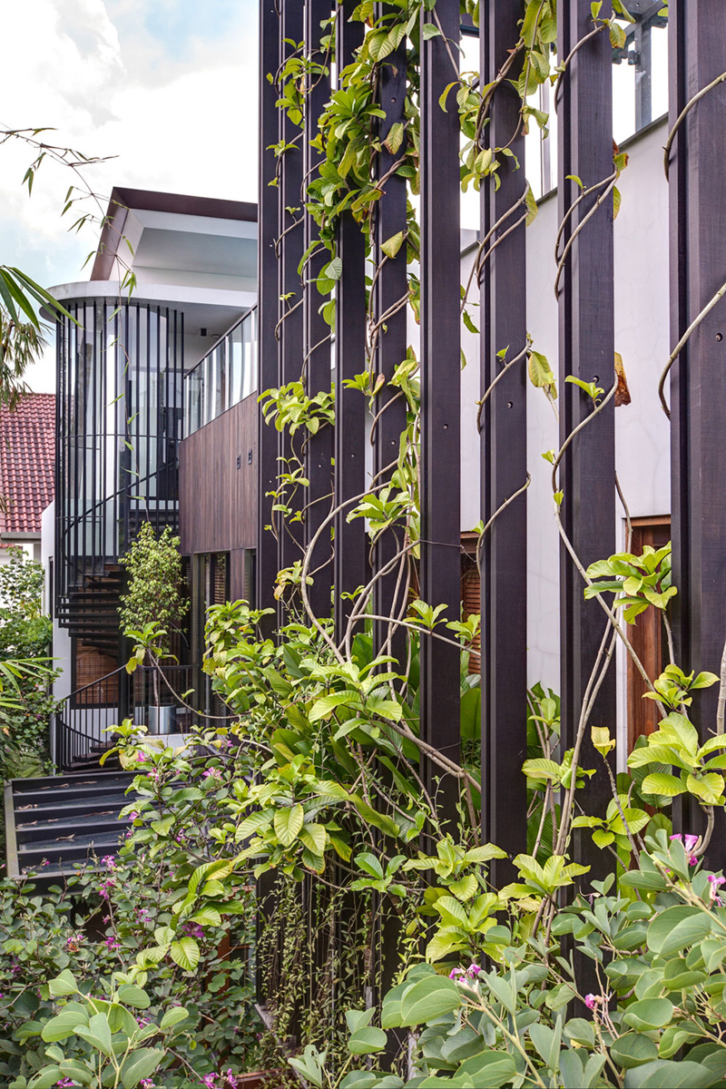 singapore townhome with natural (4)