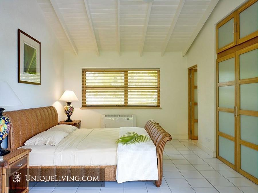 contemporary tropical luxury house with garden green (7)