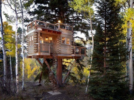 modern-tree-house-with-roof-deck (1)