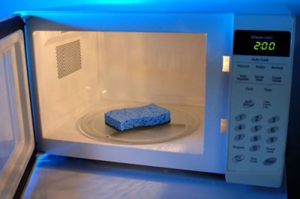 microwave-kitchen-sponge