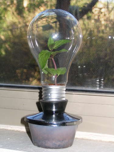 21 creative-ways-to-repurpose-lightbulbs (6)