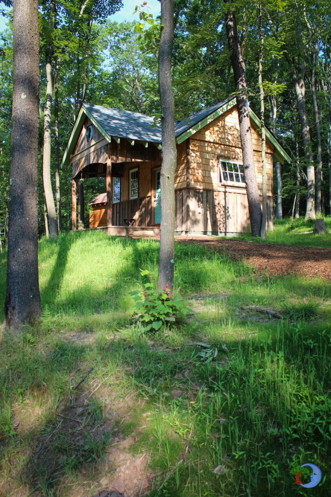 loft forest cottage (5)