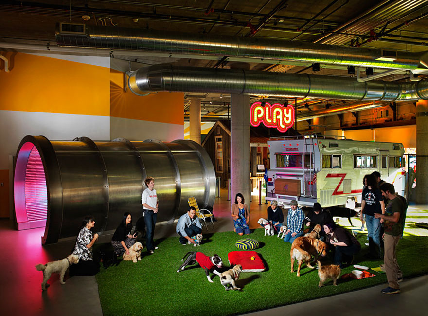 12 coolest offices in the world (49)