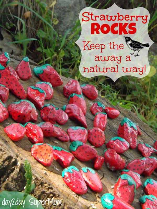 26 rock and stone for garden decorations  (11)