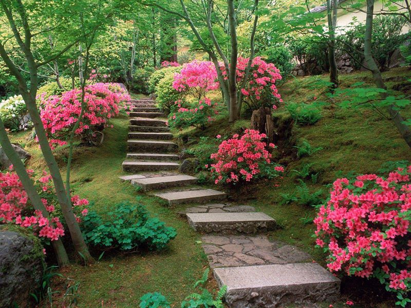 12 luxurious garden decorating ideas (8)