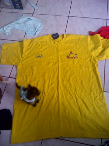 cool cat shirt diy (1)