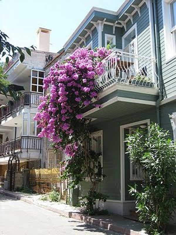24-ideas-for-charming-exterior-flower-decoration (10)
