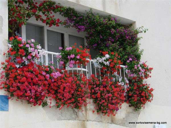 24-ideas-for-charming-exterior-flower-decoration (13)