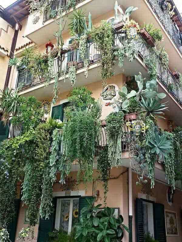 24-ideas-for-charming-exterior-flower-decoration (14)