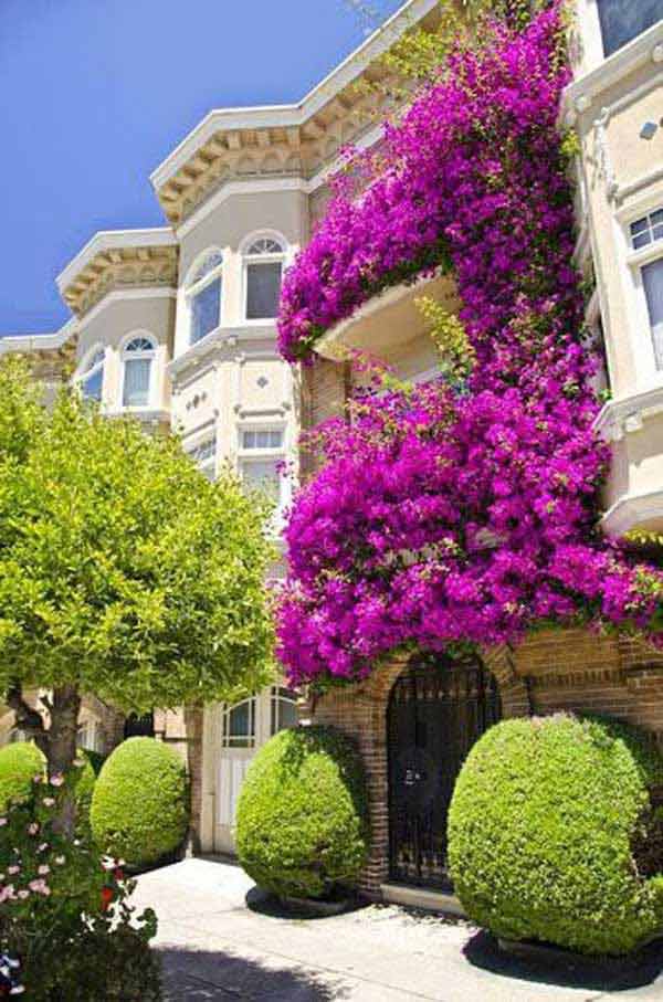 24-ideas-for-charming-exterior-flower-decoration (15)