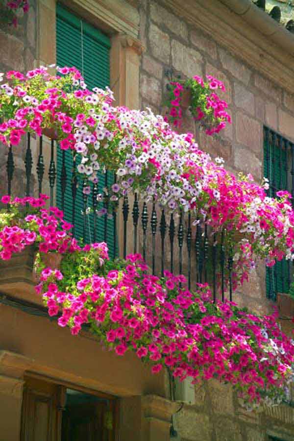 24-ideas-for-charming-exterior-flower-decoration (2)
