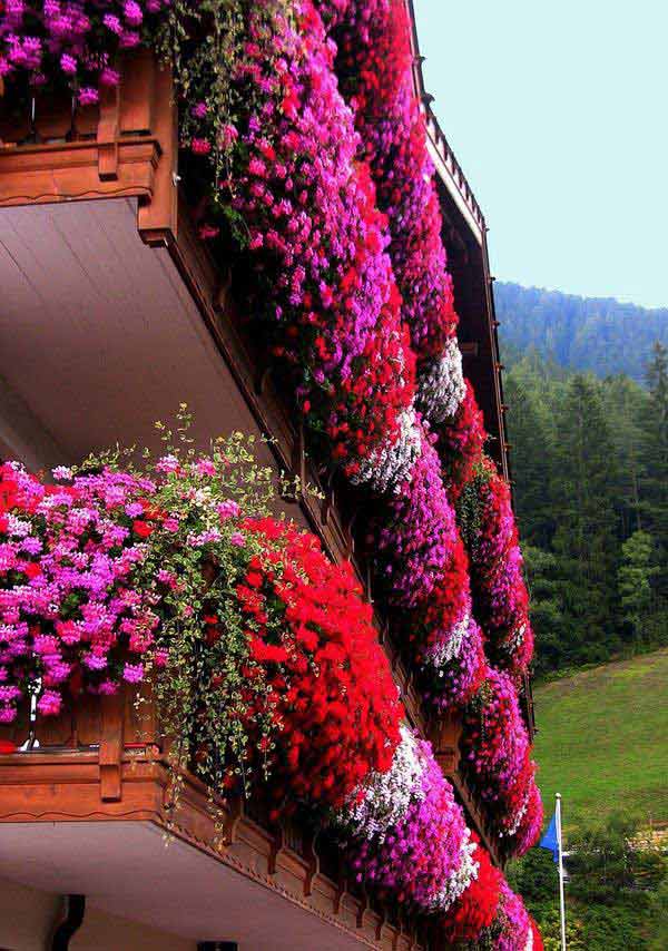 24-ideas-for-charming-exterior-flower-decoration (4)