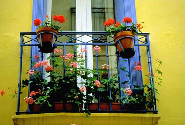 24-ideas-for-charming-exterior-flower-decoration (9)