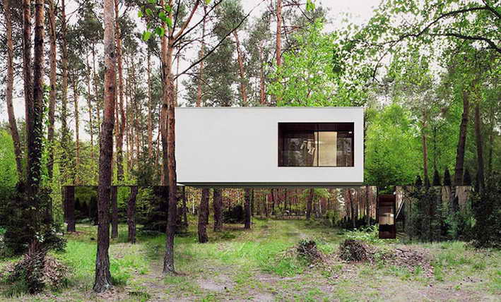 cloaking-mirror-house-in-wood (1)