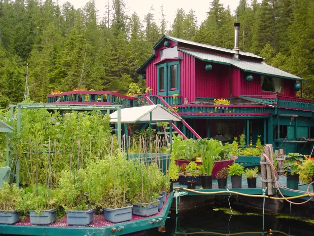 the Couple Spent Decades Building Their Own Self-Sustaining Island (10)