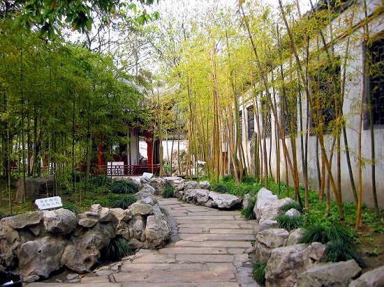 bamboo garden idea naibann (20)