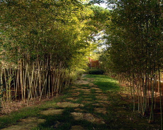 bamboo garden idea naibann (24)