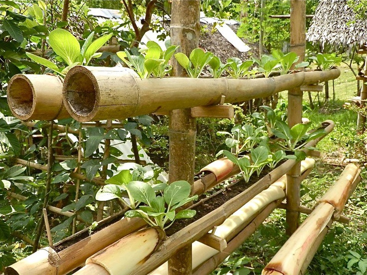 bamboo garden idea naibann (31)