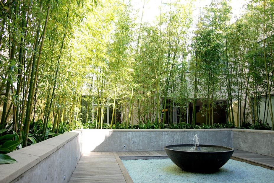 bamboo garden idea naibann (36)