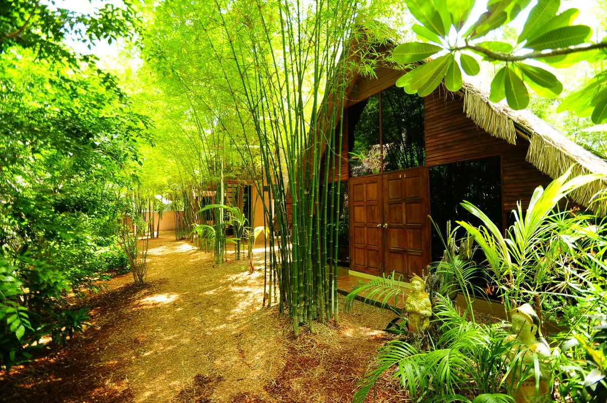bamboo garden idea naibann (37)
