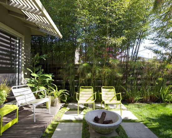 bamboo garden idea naibann (6)