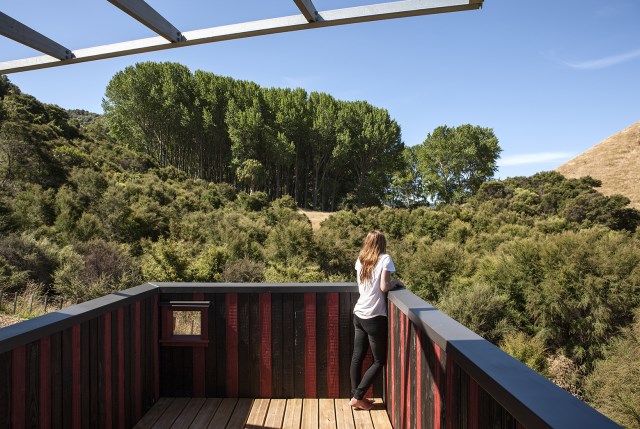 Longbush-Ecosanctuary-Welcome-Shelter-Sarosh-Mulla-Design-New-Zealand-Rooftop-Terrace-Humble-Homes