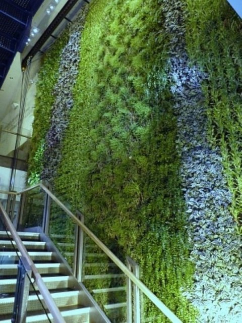 beautiful-green-living-wall-design