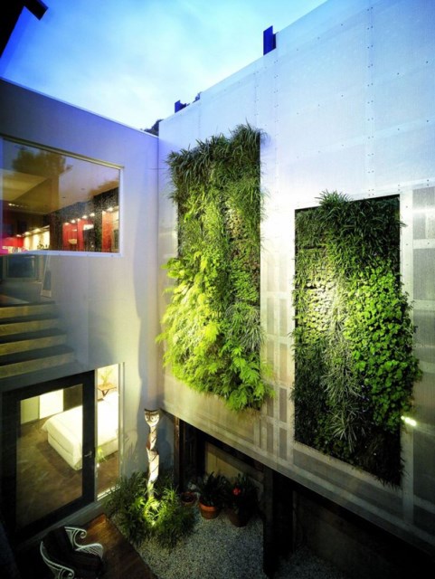 cool-green-living-wall-in-your-home