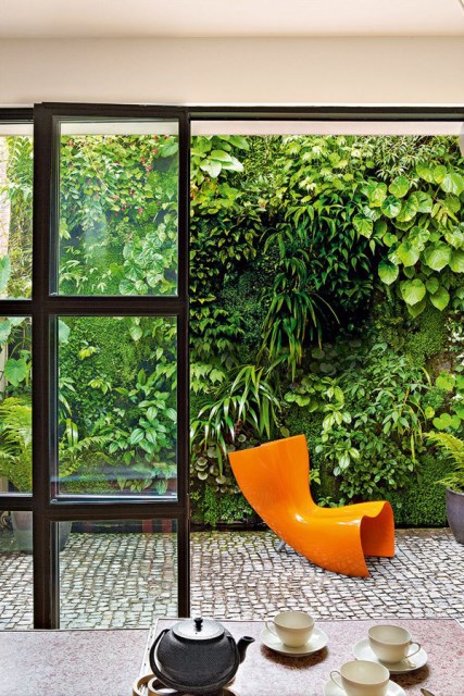 green-living-wall-in-backyard