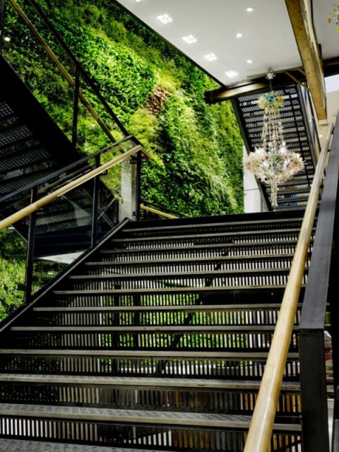 green-living-wall-in-the-stairs