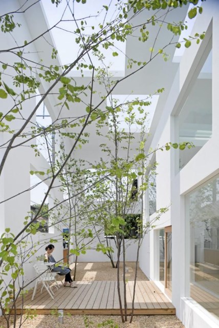modern-japanese-garden-blurs-the-lines-between-indoor-and-outdoor