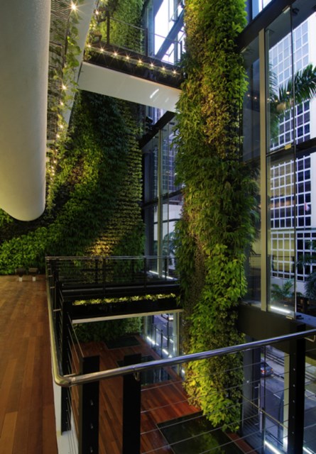 nature-living-wall-decoration