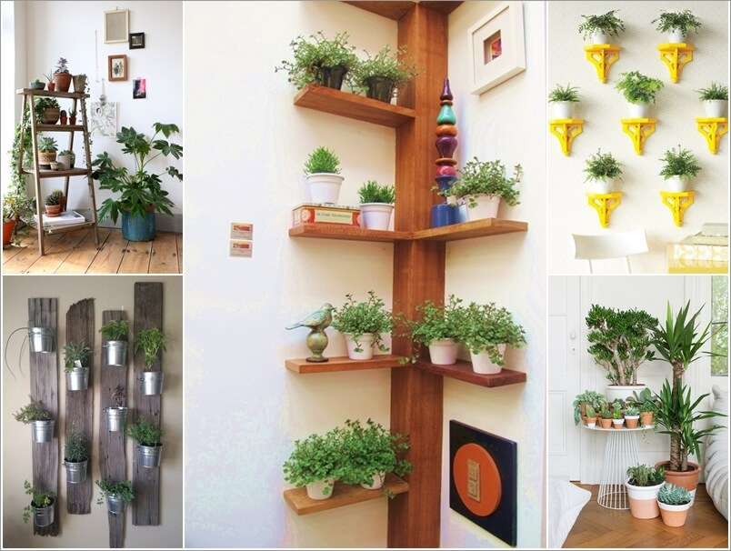15-ideas-to-display-indoor-plants (1)