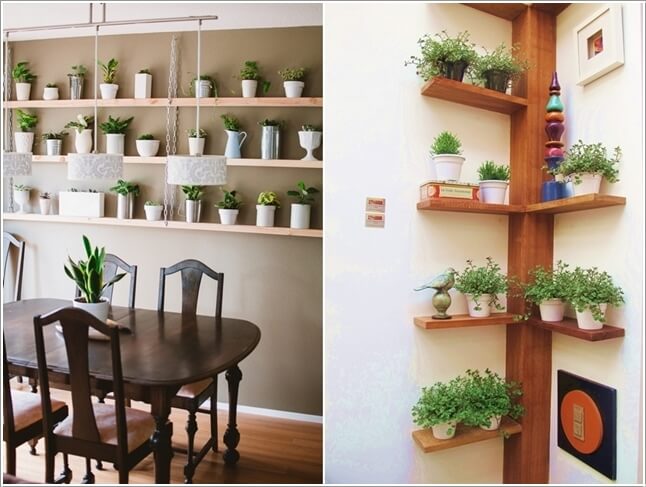 15-ideas-to-display-indoor-plants (2)