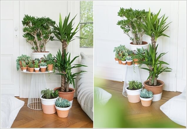 15-ideas-to-display-indoor-plants (3)